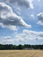 mo_23_lq