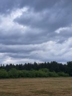 mo_28_lq