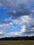 mo_39_lq